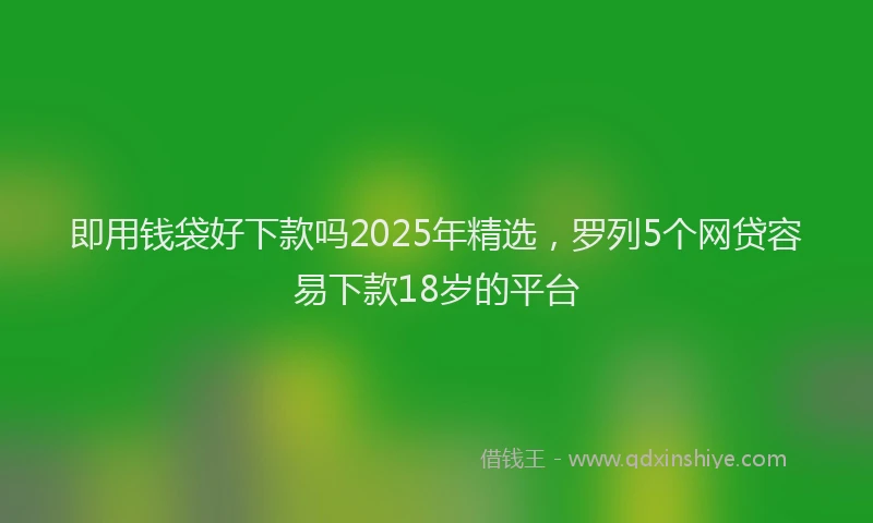 即用钱袋好下款吗2025年精选，罗列5个网贷容易下款18岁的平台