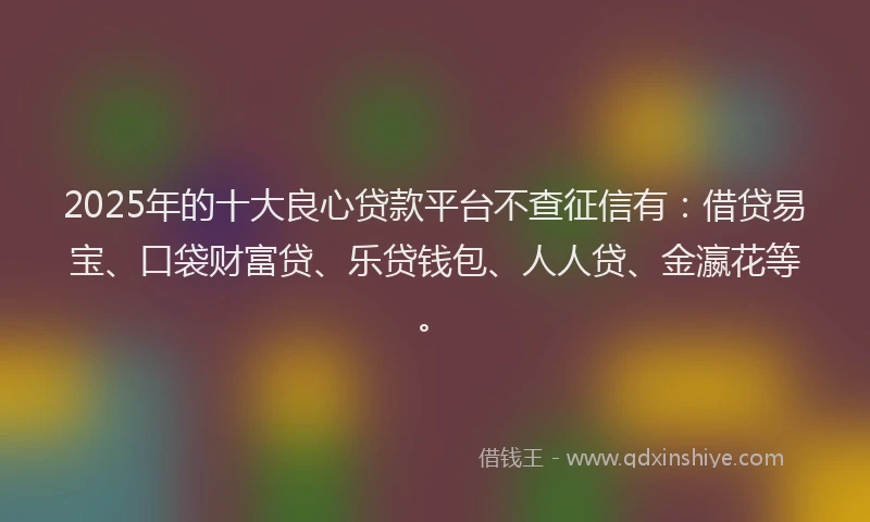 2025年的十大良心贷款平台不查征信有：借贷易宝、口袋财富贷、乐贷钱包、人人贷、金瀛花等。