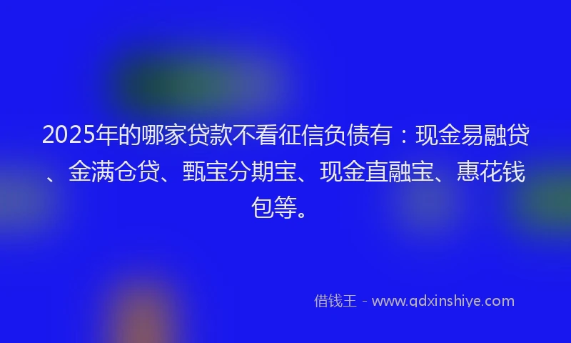 2025年的哪家贷款不看征信负债有：现金易融贷、金满仓贷、甄宝分期宝、现金直融宝、惠花钱包等。