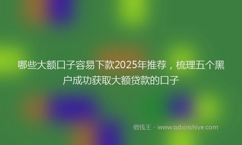 哪些大额口子容易下款2025年推荐，梳理五个黑户成功获取大额贷款的口子