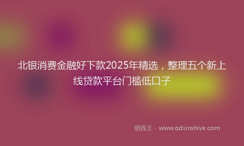 北银消费金融好下款2025年精选，整理五个新上线贷款平台门槛低口子