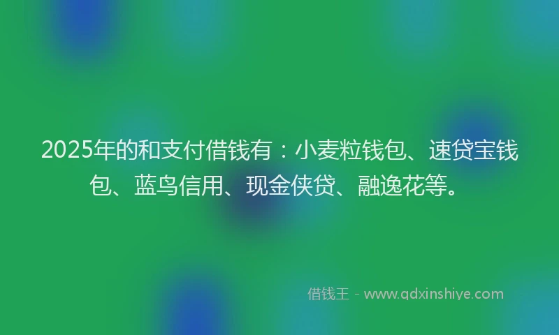 2025年的和支付借钱有：小麦粒钱包、速贷宝钱包、蓝鸟信用、现金侠贷、融逸花等。
