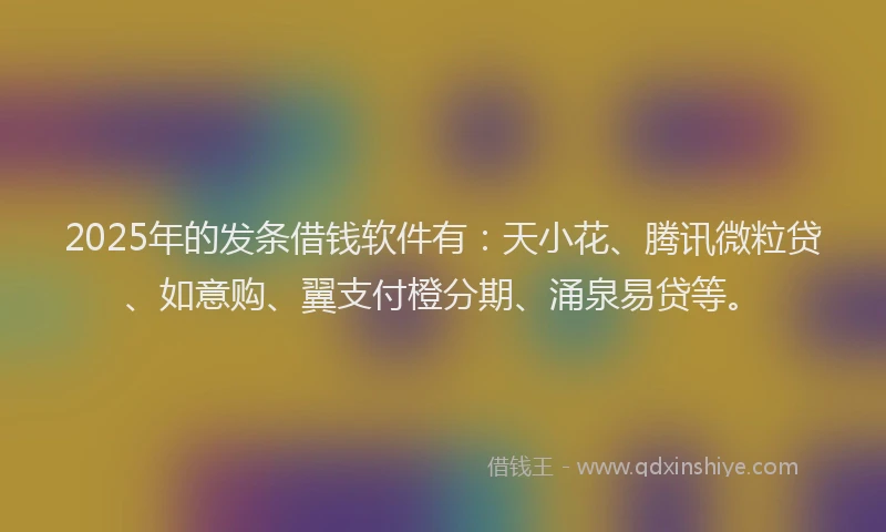 2025年的发条借钱软件有：天小花、腾讯微粒贷、如意购、翼支付橙分期、涌泉易贷等。
