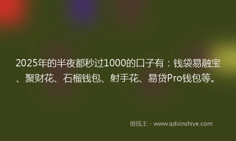 2025年的半夜都秒过1000的口子有：钱袋易融宝、聚财花、石榴钱包、射手花、易贷Pro钱包等。