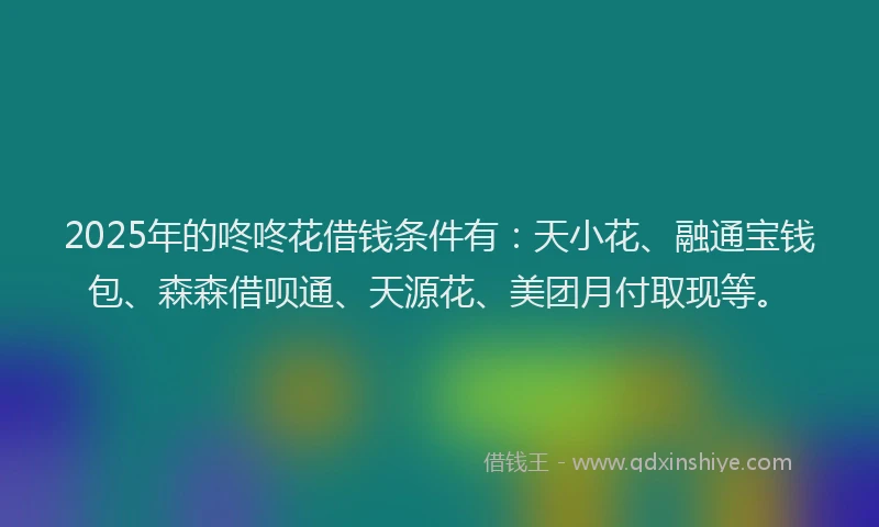 2025年的咚咚花借钱条件有：天小花、融通宝钱包、森森借呗通、天源花、美团月付取现等。