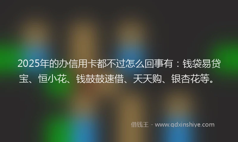 2025年的办信用卡都不过怎么回事有：钱袋易贷宝、恒小花、钱鼓鼓速借、天天购、银杏花等。