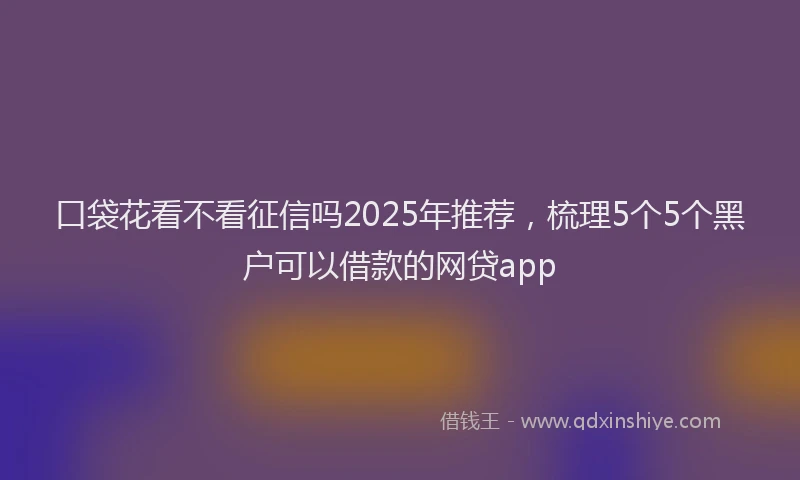 口袋花看不看征信吗2025年推荐，梳理5个5个黑户可以借款的网贷app