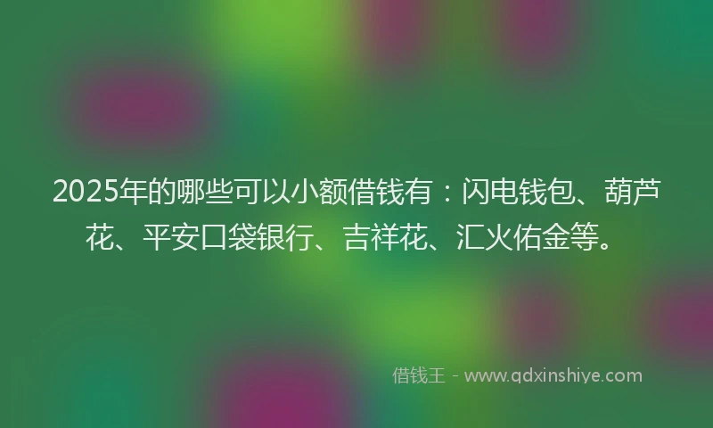 2025年的哪些可以小额借钱有：闪电钱包、葫芦花、平安口袋银行、吉祥花、汇火佑金等。