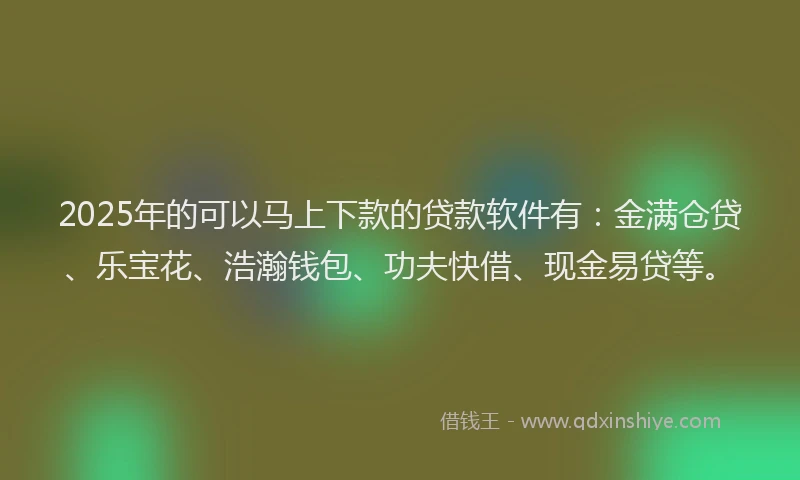 2025年的可以马上下款的贷款软件有：金满仓贷、乐宝花、浩瀚钱包、功夫快借、现金易贷等。