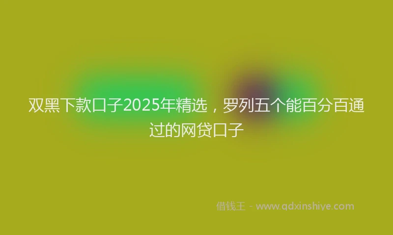 双黑下款口子2025年精选，罗列五个能百分百通过的网贷口子