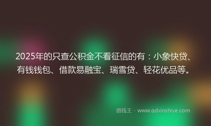 2025年的只查公积金不看征信的有：小象快贷、有钱钱包、借款易融宝、瑞雪贷、轻花优品等。