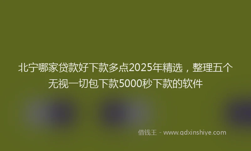 北宁哪家贷款好下款多点2025年精选，整理五个无视一切包下款5000秒下款的软件