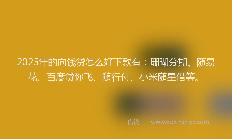 2025年的向钱贷怎么好下款有：珊瑚分期、随易花、百度贷你飞、随行付、小米随星借等。