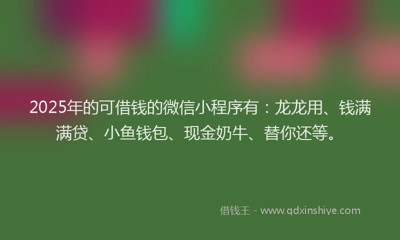 2025年的可借钱的微信小程序有：龙龙用、钱满满贷、小鱼钱包、现金奶牛、替你还等。
