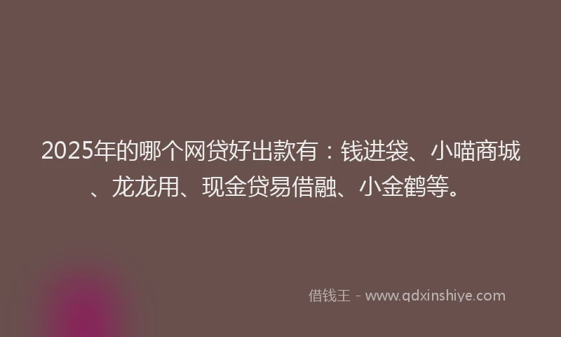 2025年的哪个网贷好出款有：钱进袋、小喵商城、龙龙用、现金贷易借融、小金鹤等。