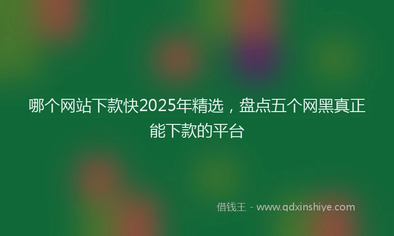 哪个网站下款快2025年精选，盘点五个网黑真正能下款的平台
