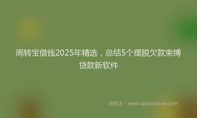 周转宝借钱2025年精选，总结5个摆脱欠款束缚贷款新软件