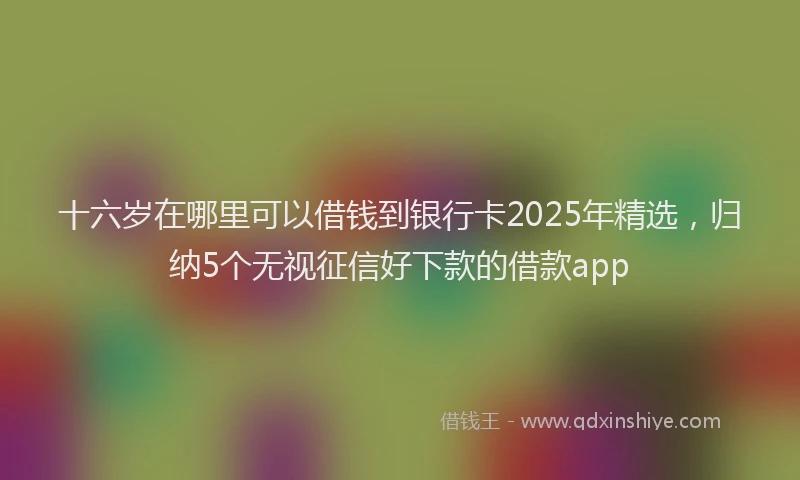 十六岁在哪里可以借钱到银行卡2025年精选，归纳5个无视征信好下款的借款app