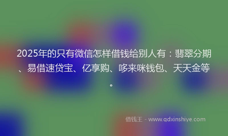 2025年的只有微信怎样借钱给别人有：翡翠分期、易借速贷宝、亿享购、哆来咪钱包、天天金等。