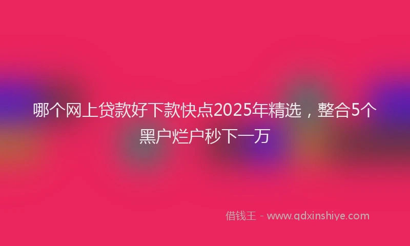 哪个网上贷款好下款快点2025年精选，整合5个黑户烂户秒下一万