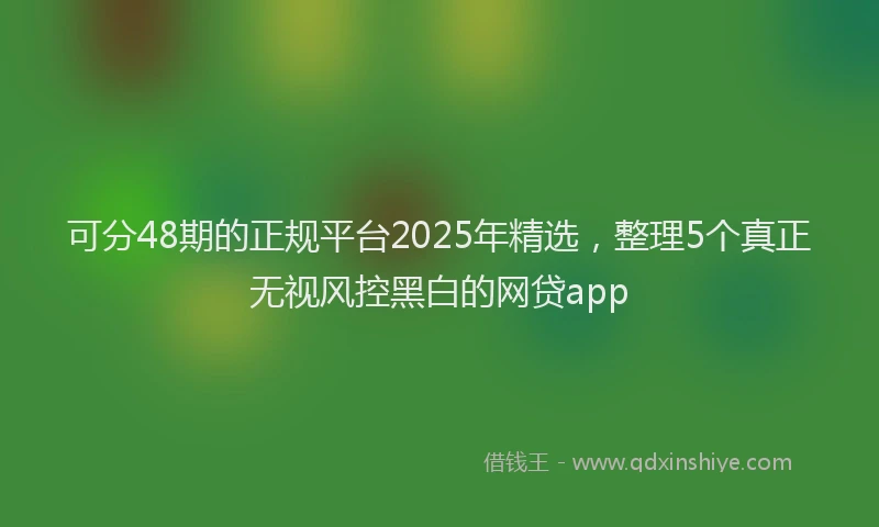 可分48期的正规平台2025年精选，整理5个真正无视风控黑白的网贷app
