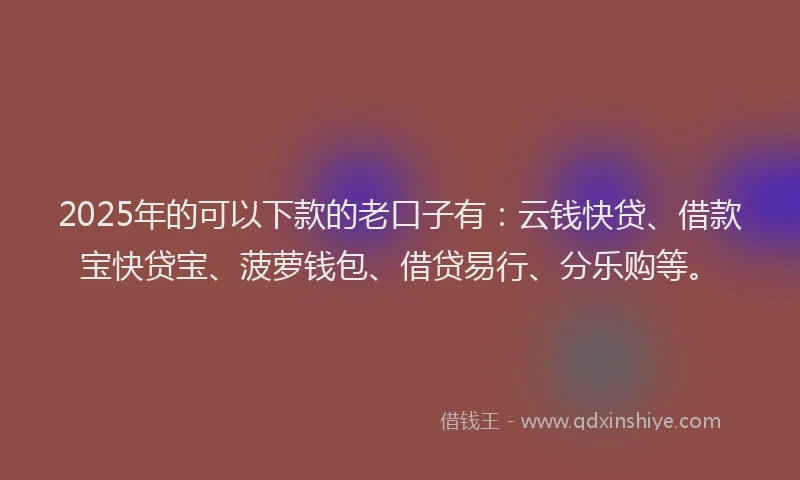 2025年的可以下款的老口子有：云钱快贷、借款宝快贷宝、菠萝钱包、借贷易行、分乐购等。