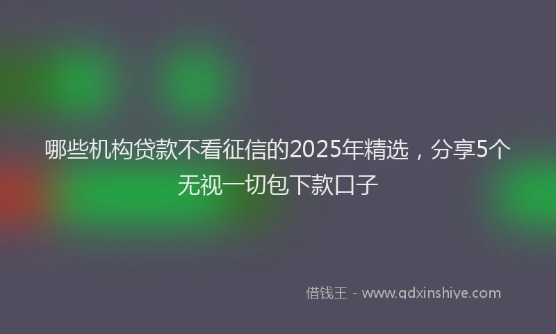 哪些机构贷款不看征信的2025年精选，分享5个无视一切包下款口子