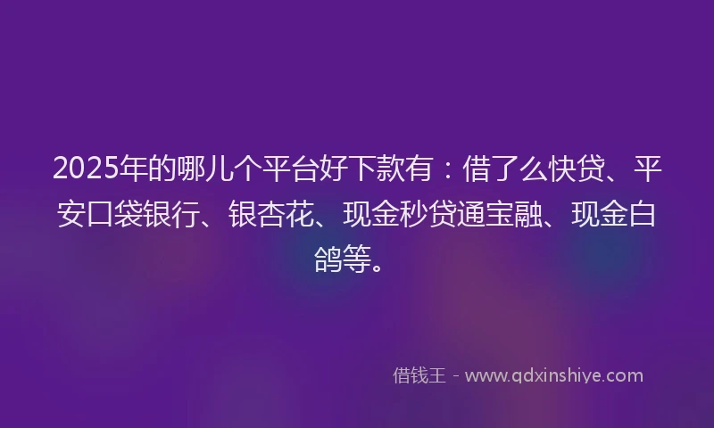 2025年的哪儿个平台好下款有：借了么快贷、平安口袋银行、银杏花、现金秒贷通宝融、现金白鸽等。
