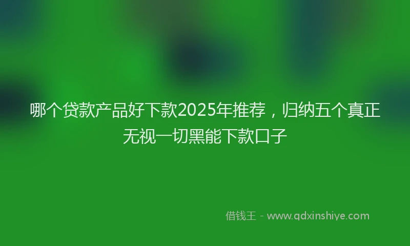 哪个贷款产品好下款2025年推荐，归纳五个真正无视一切黑能下款口子
