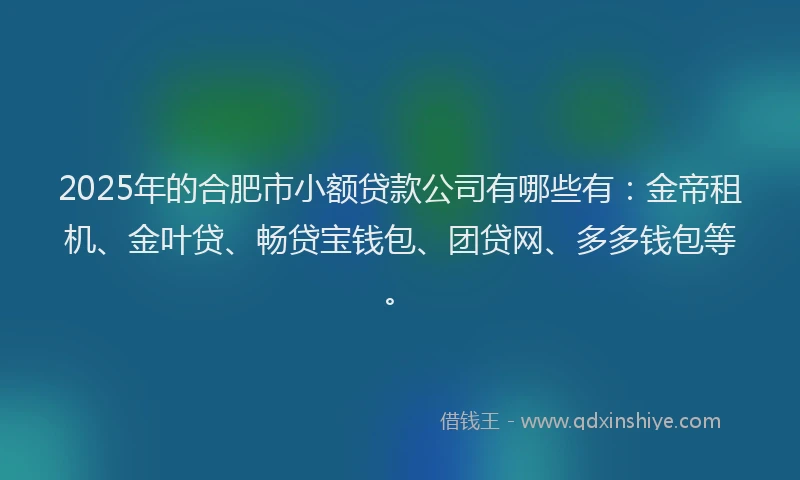 2025年的合肥市小额贷款公司有哪些有：金帝租机、金叶贷、畅贷宝钱包、团贷网、多多钱包等。