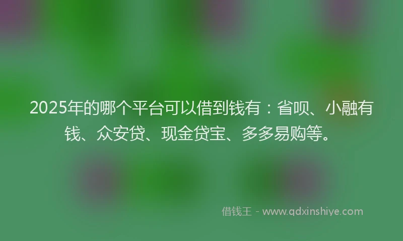 2025年的哪个平台可以借到钱有：省呗、小融有钱、众安贷、现金贷宝、多多易购等。