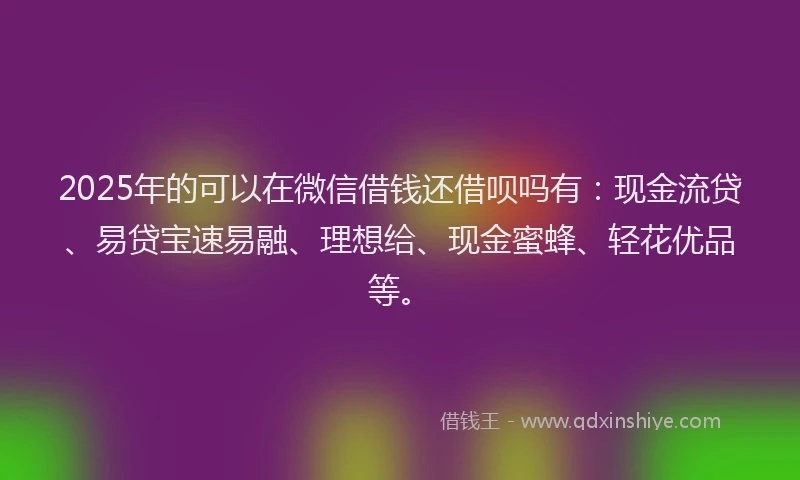 2025年的可以在微信借钱还借呗吗有：现金流贷、易贷宝速易融、理想给、现金蜜蜂、轻花优品等。