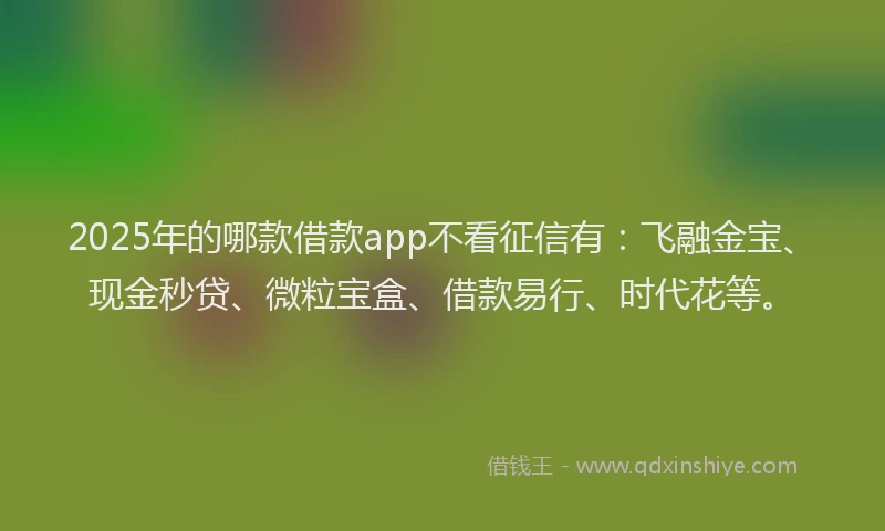2025年的哪款借款app不看征信有：飞融金宝、现金秒贷、微粒宝盒、借款易行、时代花等。