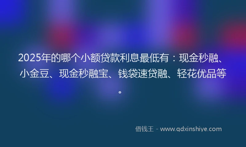 2025年的哪个小额贷款利息最低有：现金秒融、小金豆、现金秒融宝、钱袋速贷融、轻花优品等。