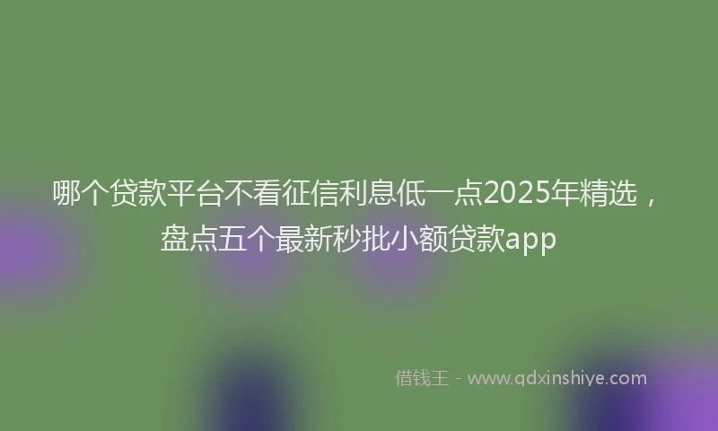 哪个贷款平台不看征信利息低一点2025年精选，盘点五个最新秒批小额贷款app
