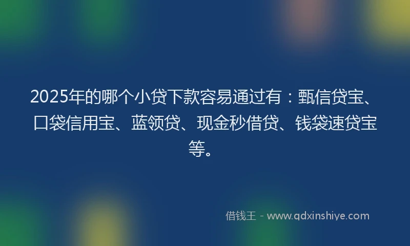 2025年的哪个小贷下款容易通过有：甄信贷宝、口袋信用宝、蓝领贷、现金秒借贷、钱袋速贷宝等。
