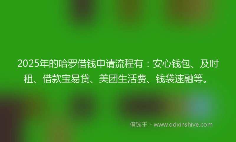 2025年的哈罗借钱申请流程有：安心钱包、及时租、借款宝易贷、美团生活费、钱袋速融等。