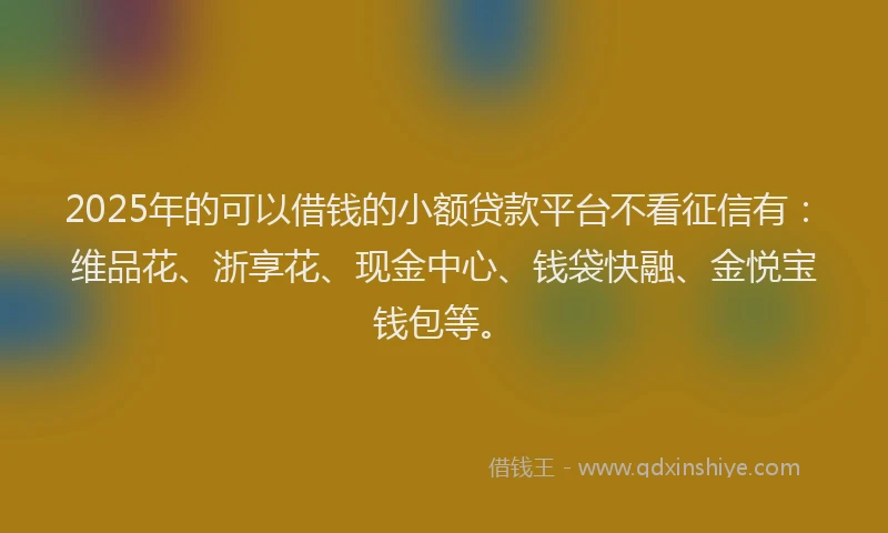 2025年的可以借钱的小额贷款平台不看征信有：维品花、浙享花、现金中心、钱袋快融、金悦宝钱包等。