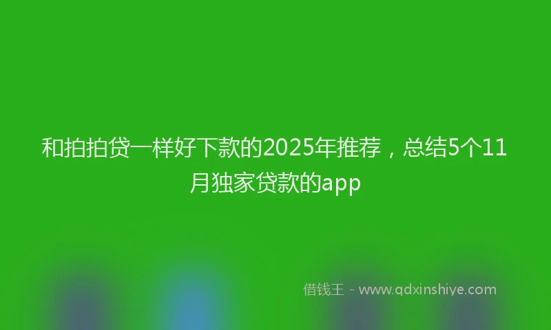 和拍拍贷一样好下款的2025年推荐，总结5个11月独家贷款的app