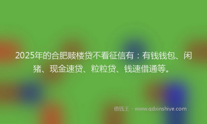 2025年的合肥赎楼贷不看征信有：有钱钱包、闲猪、现金速贷、粒粒贷、钱速借通等。