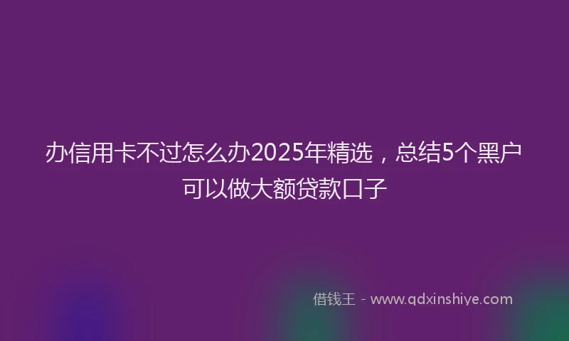 办信用卡不过怎么办2025年精选，总结5个黑户可以做大额贷款口子