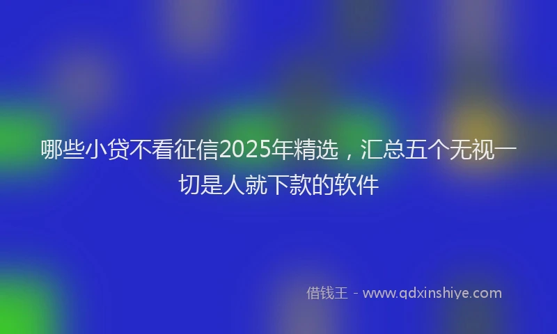 哪些小贷不看征信2025年精选，汇总五个无视一切是人就下款的软件
