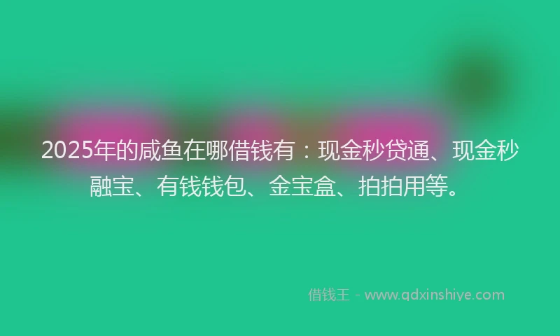 2025年的咸鱼在哪借钱有：现金秒贷通、现金秒融宝、有钱钱包、金宝盒、拍拍用等。
