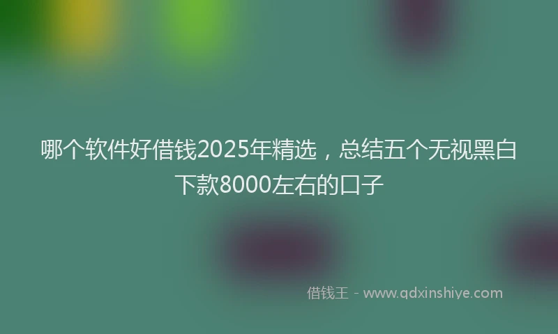 哪个软件好借钱2025年精选，总结五个无视黑白下款8000左右的口子