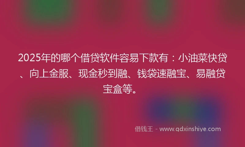 2025年的哪个借贷软件容易下款有：小油菜快贷、向上金服、现金秒到融、钱袋速融宝、易融贷宝盒等。