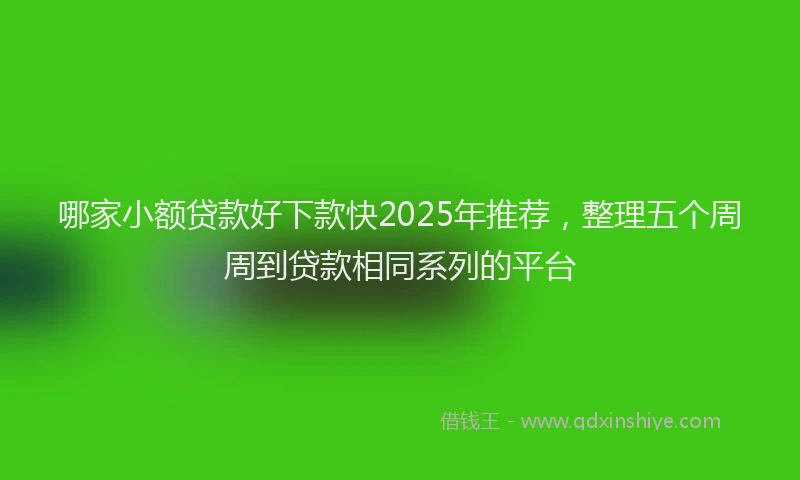 哪家小额贷款好下款快2025年推荐，整理五个周周到贷款相同系列的平台