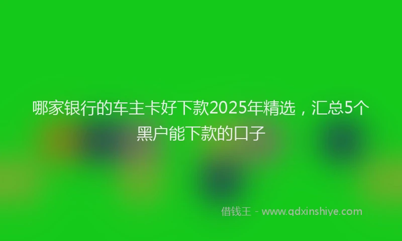 哪家银行的车主卡好下款2025年精选，汇总5个黑户能下款的口子