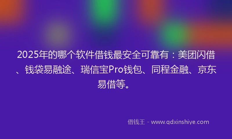 2025年的哪个软件借钱最安全可靠有：美团闪借、钱袋易融途、瑞信宝Pro钱包、同程金融、京东易借等。