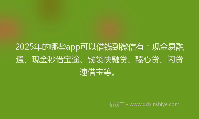 2025年的哪些app可以借钱到微信有：现金易融通、现金秒借宝途、钱袋快融贷、臻心贷、闪贷速借宝等。