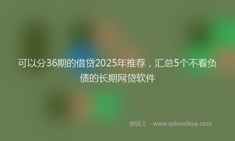 可以分36期的借贷2025年推荐，汇总5个不看负债的长期网贷软件